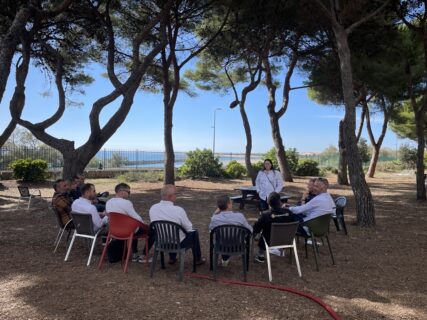 experts burgermeister 2025